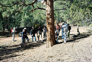 Coring a Tree